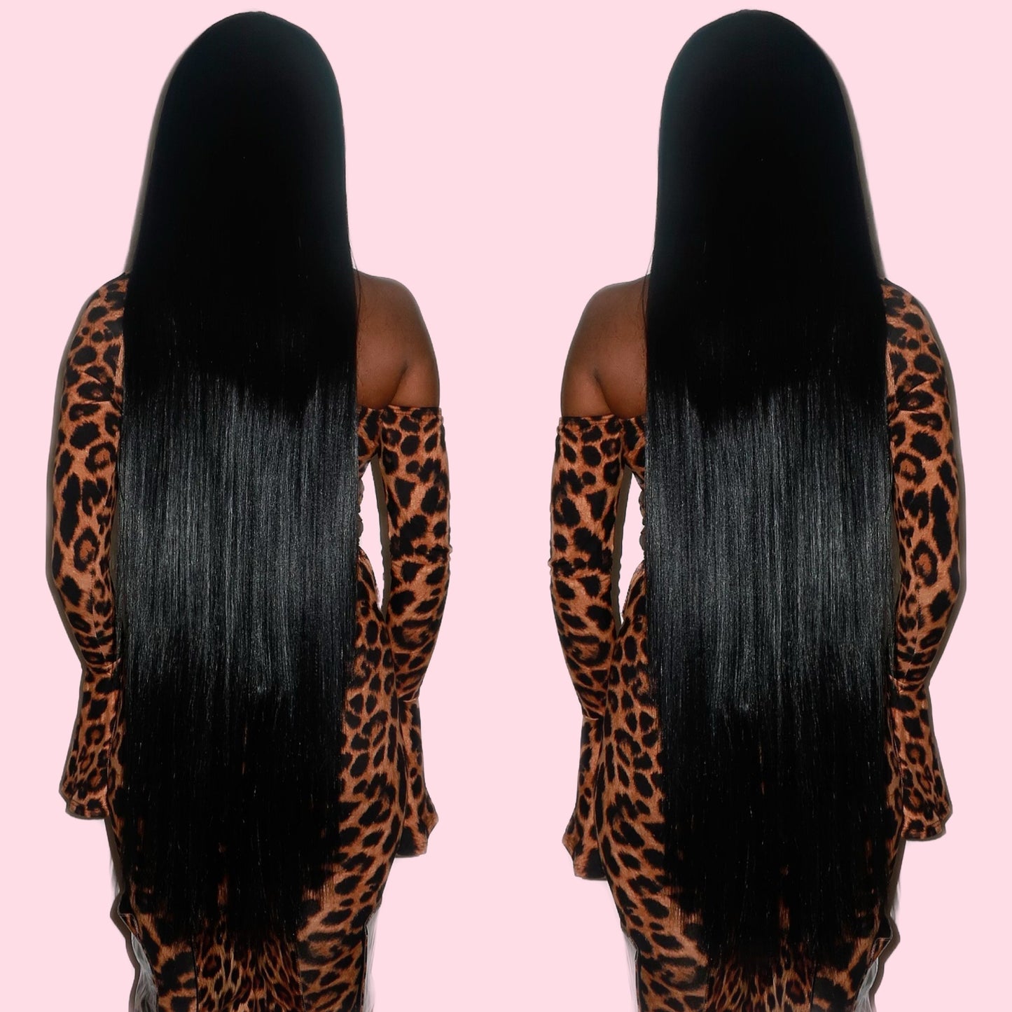 Silky Queen